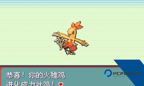 口袋怪兽绿宝石中文版