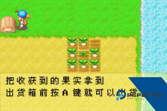 牧场物语矿石镇的伙伴们