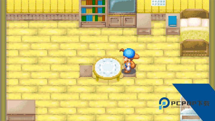 牧场物语矿石镇的伙伴们