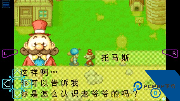 牧场物语矿石镇的伙伴们