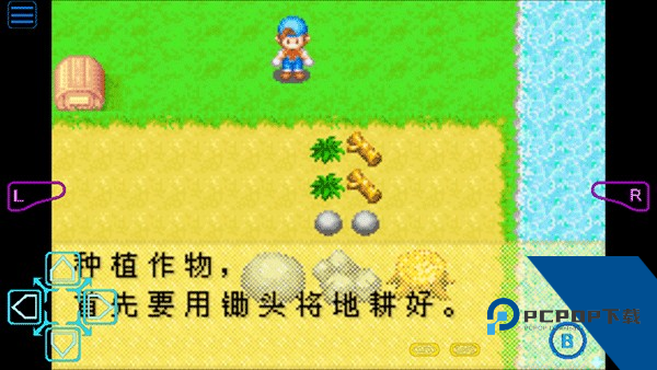 牧场物语矿石镇的伙伴们