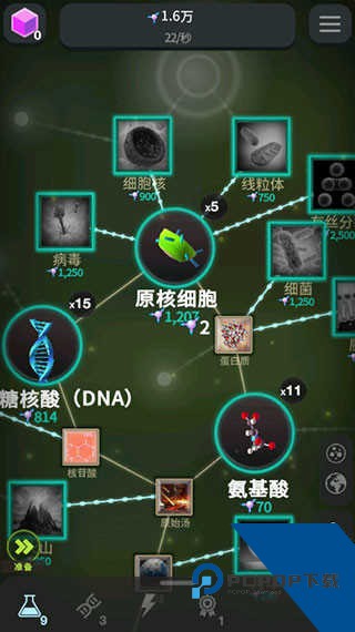 从细胞到奇点