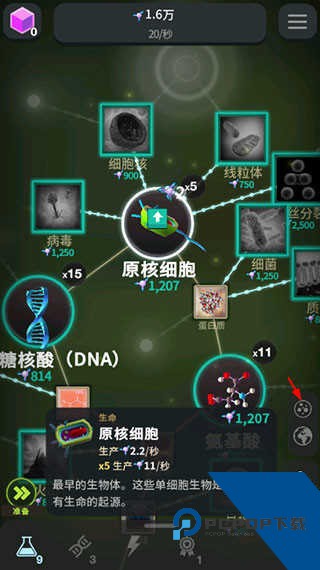 从细胞到奇点