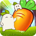 暖心小院子红包版 免费版v1.0.1