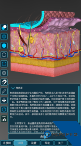 人体解剖学图集最新版app下载 v2026.12.28