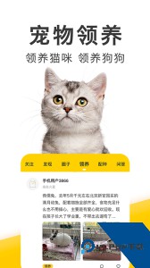 有只宠物app官方正版下载 v2.4.0