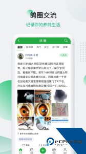 中国信鸽信息网官方正版客户端下载 v20260206