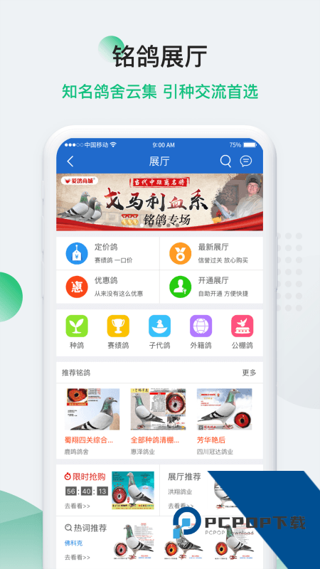 中国信鸽网手机客户端 v20260206安卓版