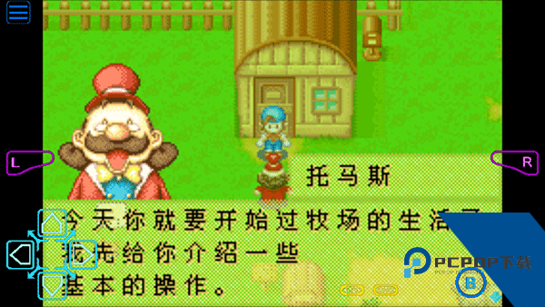 牧场物语矿石镇的伙伴们汉化版