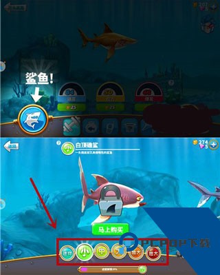 饥饿鲨世界国际服最新版
