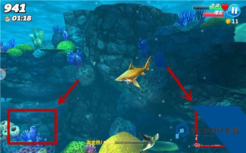 饥饿鲨世界国际服最新版