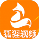 狐狸视频在线观看
