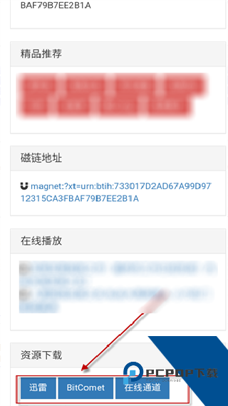 磁力熊猫搜索引擎