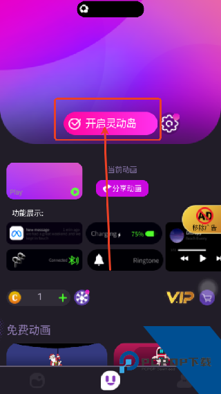 皮卡灵动岛