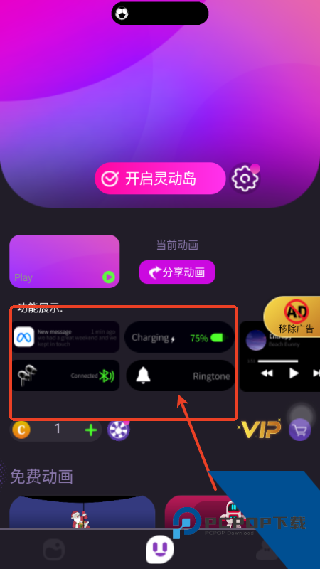 皮卡灵动岛