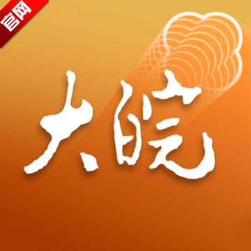 大皖Plus官方正版