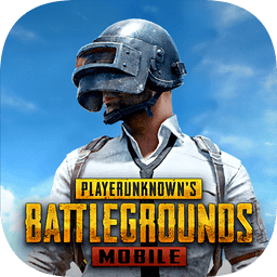 PUBG海外版地铁逃生官方升级版本手游安卓版v3.4.0