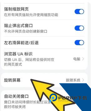 波波浏览器蓝色版
