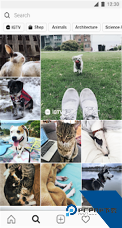 instagram官方正版下载