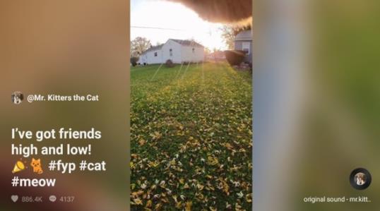 tiktokTV大屏短视频应用app下载 v12.2.43.0