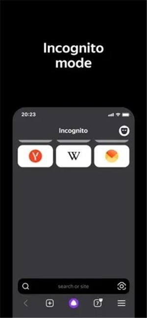 俄罗斯引擎浏览器下载app安卓版v25.2.7.95