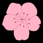 桃花视频二维码