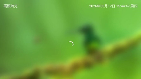 码头时光