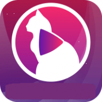 小猫直播app最新版下载4.23.00