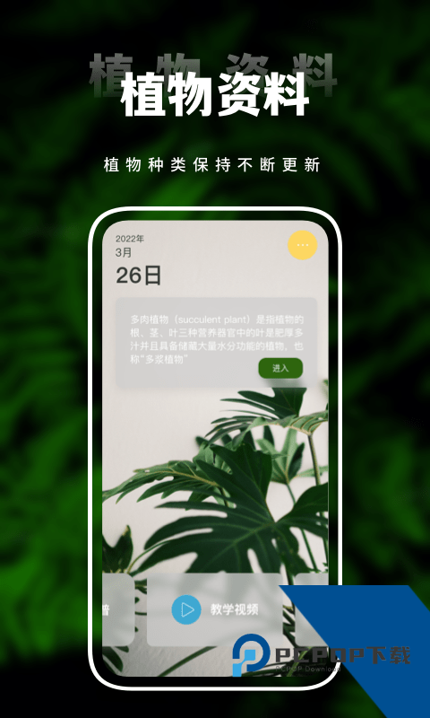 害羞草生活视频在线免费观看