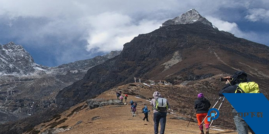 六只脚app最新版