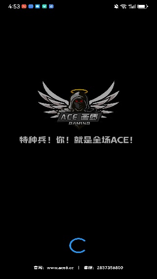ACE画质助手