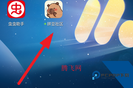 拼豆社区app手机版