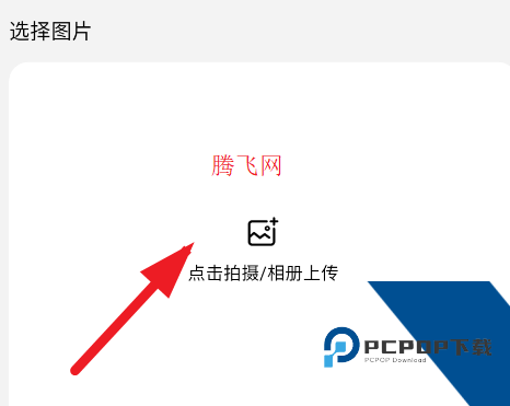 拼豆社区app手机版