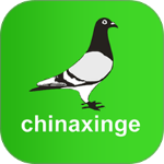 中国信鸽网手机客户端 v20260206安卓版
