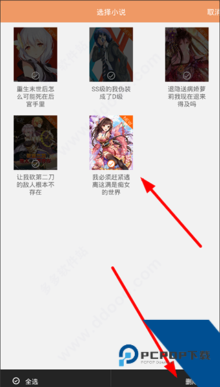 菠萝包轻小说