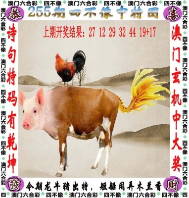 正版免费资料大全软件