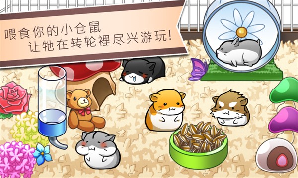 Hamster Life 安卓版v4.8.4