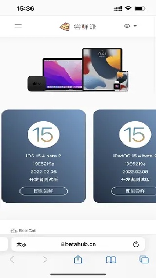 iBeta尝鲜派