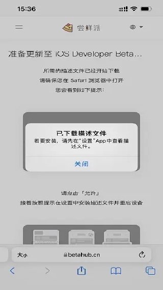 iBeta尝鲜派