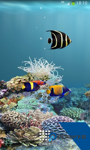 水族馆动态壁纸
