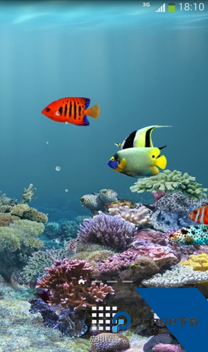 水族馆动态壁纸