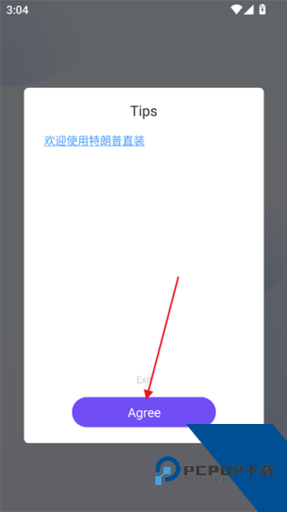 猪八戒直装