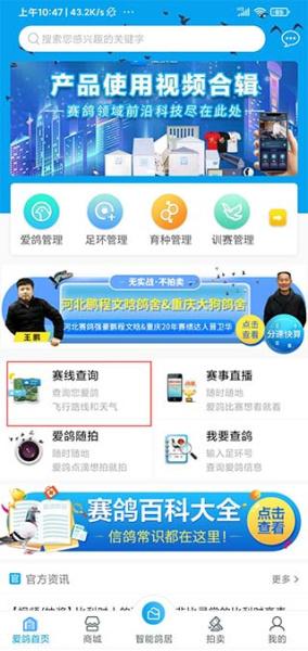 爱鸽者官方版