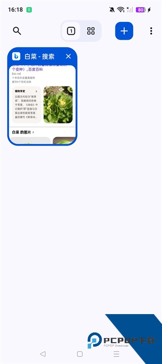Cromite浏览器手机版