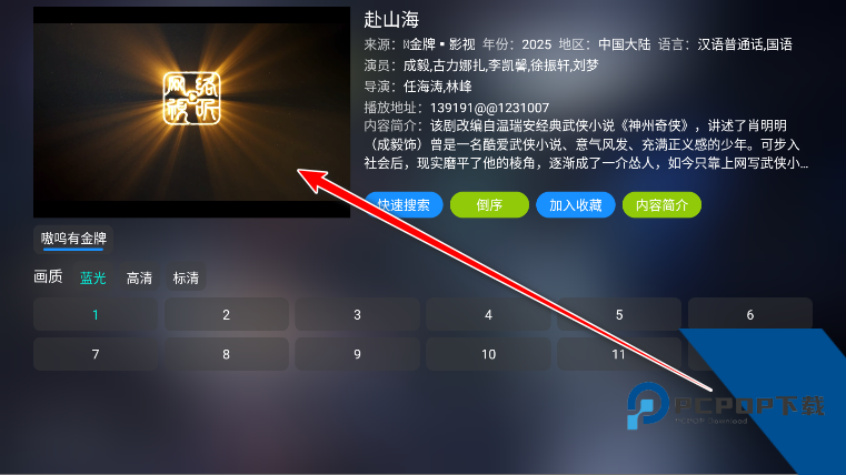 大黄蜂影仓