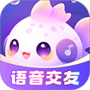 钉铛视频语音安卓版v2.2.8.0 安卓版