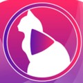 小猫直播app免费版苹果版v4.03.00下载4.03.00