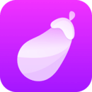 茄子视频app丝瓜下载3.0