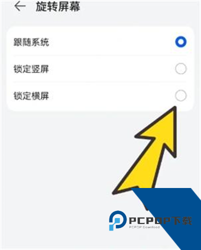 BOBO浏览器海外版