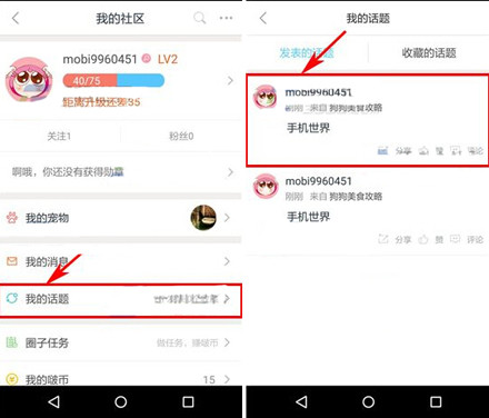 波奇宠物app